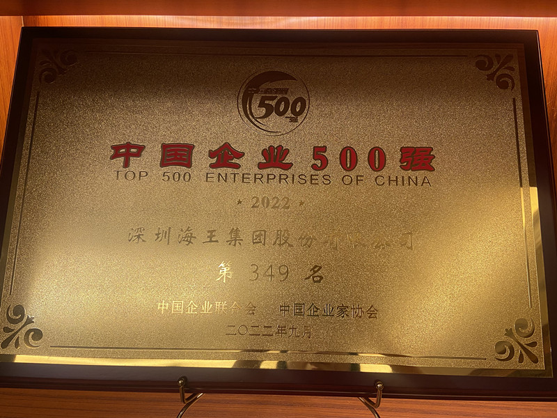 中國(guó)企業(yè)500強(qiáng) 第349名 獎(jiǎng)牌.jpg